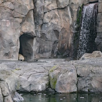 The Alaska Zoo - Zoos Near Me - Anchorage, Alaska The Alaska Zoo - Zoos Near Me - Anchorage, Alaska