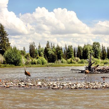 Solitude Float Trips - See their baby to the right of the them? Rare sighting - Rafting/Kayaking Near Me - Moose, Wyoming Solitude Float Trips - See their baby to the right of the them? Rare sighting - Rafting/Kayaking Near Me - Moose, Wyoming