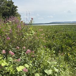 Blanding Landing