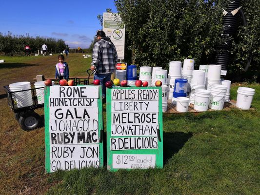 Beilke Family Farm by null