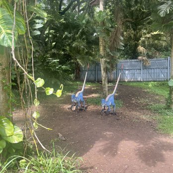 Kualoa Ranch - Tours Near Me - Kaneohe, Hawaii Kualoa Ranch - Tours Near Me - Kaneohe, Hawaii