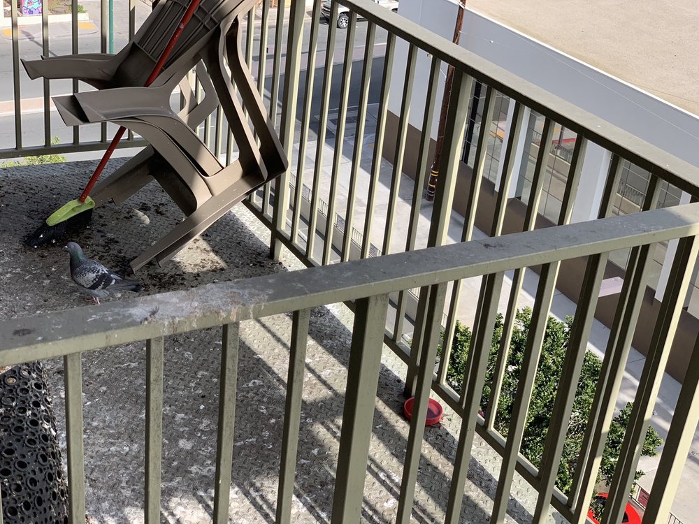 BAYVIEW TOWER 61 Photos & 28 Reviews 801 National City Blvd