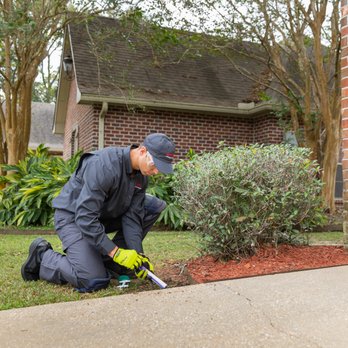 Ehrlich Pest Control - Our termite experts have extensive local experience and are trained monthly on the very best termite protection technologies. - Pest Control Near Me - Baltimore, Maryland Ehrlich Pest Control - Our termite experts have extensive local experience and are trained monthly on the very best termite protection technologies. - Pest Control Near Me - Baltimore, Maryland
