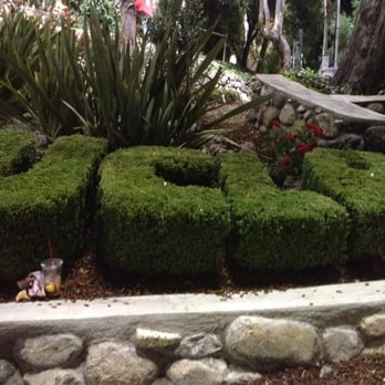 Rose Bowl Stadium - Even the topiary has Bruin pride - Stadiums & Arenas Near Me - Pasadena, California