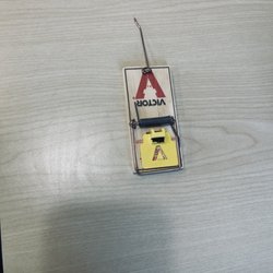 Del Taco - A mouse trap