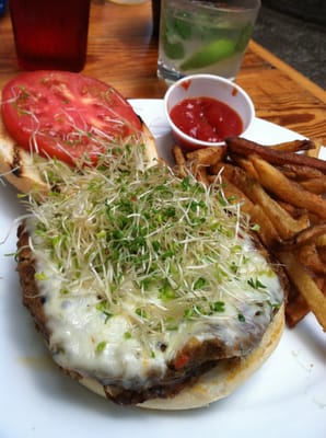 Fuel Charleston by null