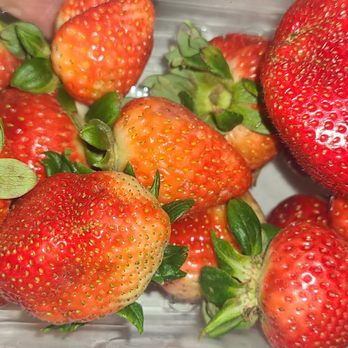 ALDI - Fresh Strawberries (minus 3 huge ones, I already ate) for under $2.00!!! - Grocery Near Me - Chula Vista, California