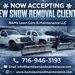 BAM's Lawn Care and Maintenance