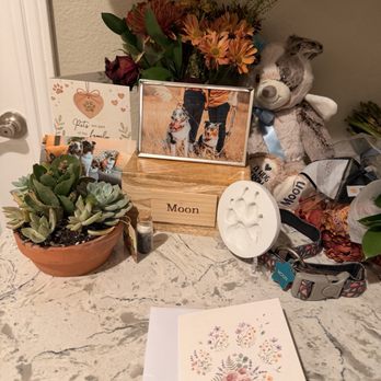 WAG Animal ER - The card, cremation service, and succulent from Wags ER - Veterinarians Near Me - San Diego, California WAG Animal ER - The card, cremation service, and succulent from Wags ER - Veterinarians Near Me - San Diego, California