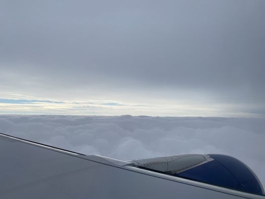 Delta Air Lines by null