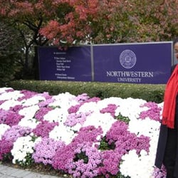 Northwestern University - In Front of NU - Lovely Flowers