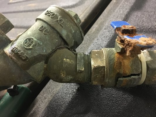 Bravo Co Backflow
