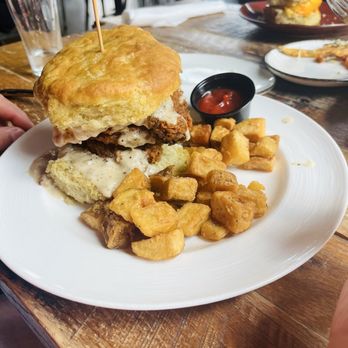 Suffolk Punch Brewing - South End - Chicken biscuit - Coffee & Tea Near Me - Charlotte, North Carolina Suffolk Punch Brewing - South End - Chicken biscuit - Coffee & Tea Near Me - Charlotte, North Carolina