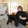 Photo of Zoohandlung & Hundefriseur