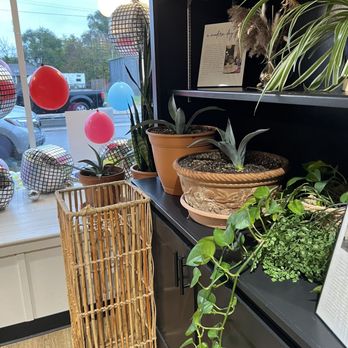 Grounded Sole Coffeehouse - View of the plants and front window - Coffee & Tea Near Me - Kansas City, Kansas Grounded Sole Coffeehouse - View of the plants and front window - Coffee & Tea Near Me - Kansas City, Kansas
