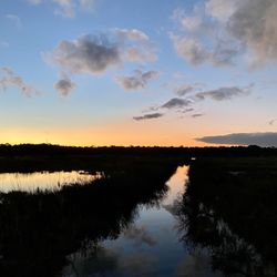 Cattus Island Park