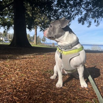Harborview Park - Parks Near Me - Everett, Washington