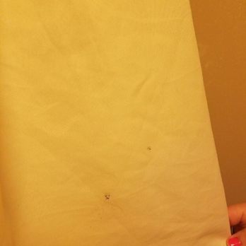 Quality Inn Spring Valley - Nanuet - Mold on the shower curtain - Hotels Near Me - Spring Valley, New York Quality Inn Spring Valley - Nanuet - Mold on the shower curtain - Hotels Near Me - Spring Valley, New York