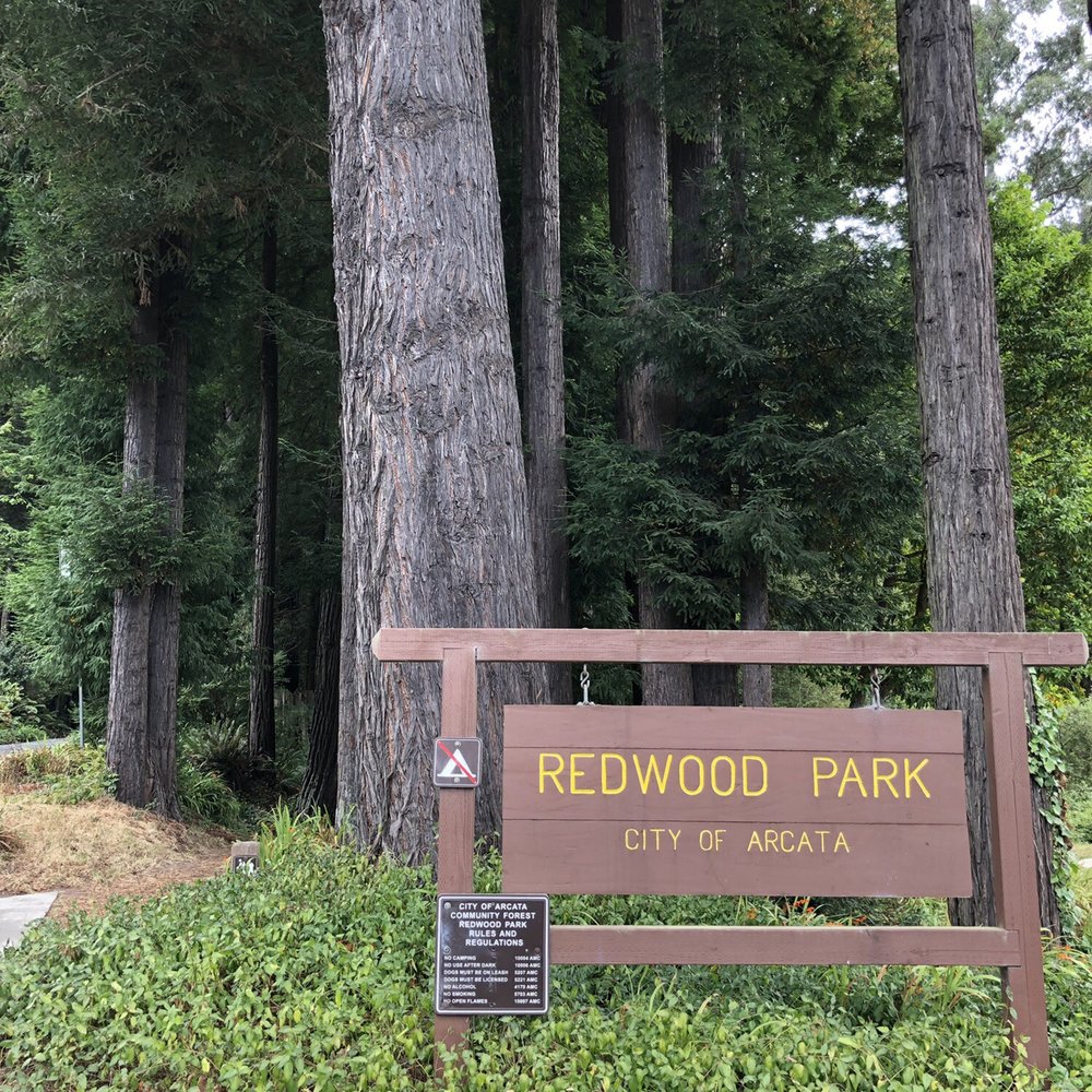 Redwood Park - Parks Near Me - Arcata, California Redwood Park - Parks Near Me - Arcata, California