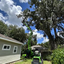 Safeguard Tree Service - Heavy equipment tree trimming