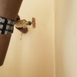 LEAK RESTORATION SERVICES - 53 Photos - Plumbing - Laguna Niguel, CA