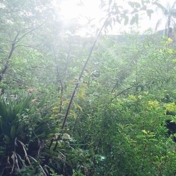 Solstice Canyon - Nice hazy morning - Parks Near Me - Malibu, California