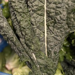 Organic vegetable local