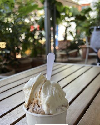 Bianco Gelato Coconut Grove by null