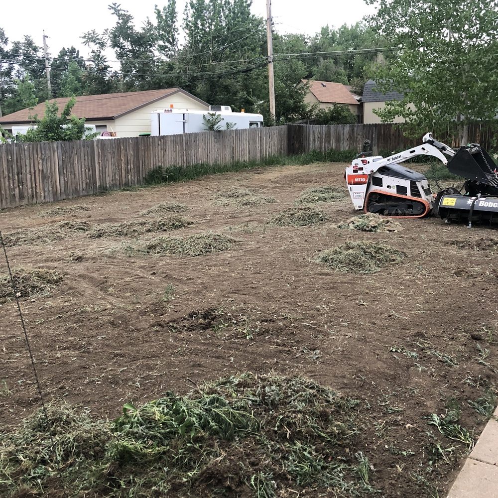 Natural Landscaping and Design - After they removed all the weeds! - Landscape Architects or Designers Near Me - Aurora, Colorado Natural Landscaping and Design - After they removed all the weeds! - Landscape Architects or Designers Near Me - Aurora, Colorado