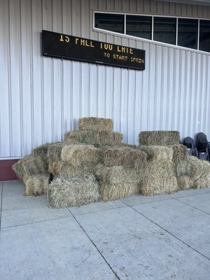 Buck Electric Ace Hardware