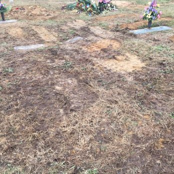 Marshall Memorial Funeral Home - November 24, 2018 after mowing - Funeral Services & Cemeteries Near Me - Albertville, Alabama Marshall Memorial Funeral Home - November 24, 2018 after mowing - Funeral Services & Cemeteries Near Me - Albertville, Alabama