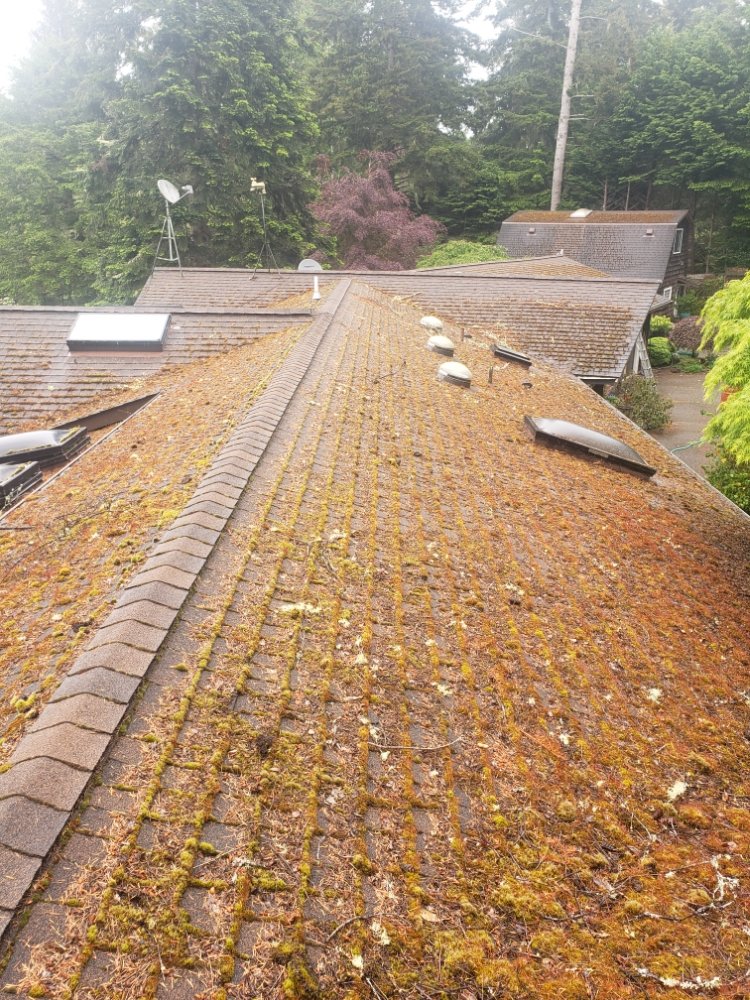 Slide of Diamond Touch Roof Cleaning and Repair