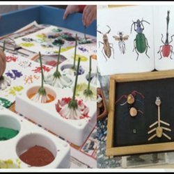 Seeds & Sprouts- Bilingual ECE Academy