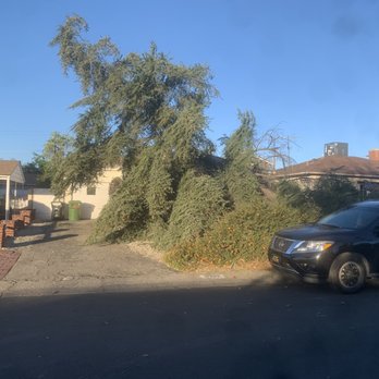 The Gardener - This is what we woke up to. - Landscaping Near Me The Gardener - This is what we woke up to. - Landscaping Near Me