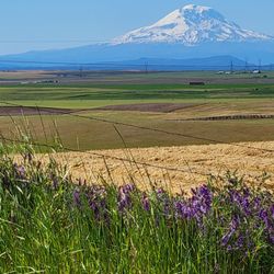 Goldendale Mountain Identifier - Mt. Adams