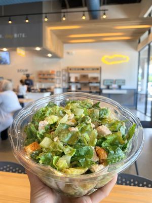 Bread Zeppelin Salads Elevated by null