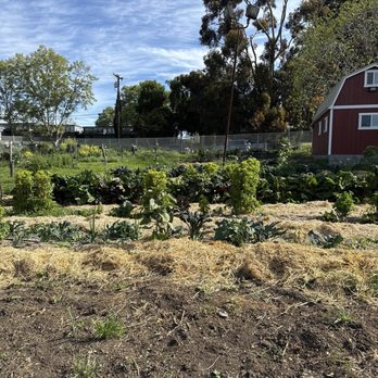 Loma Vista Farm - Garden - Attraction Farms Near Me - Vallejo, California