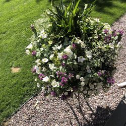 Columbia Nursery & Landscape