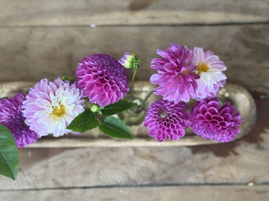 Hope Flower Farm & Winery by null
