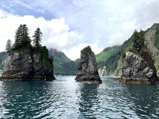 Kenai Fjords National Park by null