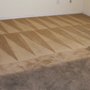 Photo of Rick The Carpet Cleaner