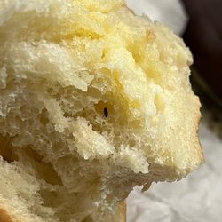 M&M Italian Restaurant - Bug baked into bread