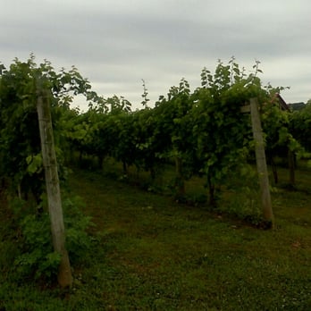 Dove Valley Vineyard - Wineries Near Me - Rising Sun, Maryland Dove Valley Vineyard - Wineries Near Me - Rising Sun, Maryland