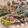 White's Ace Hardware At Carmel gift card
