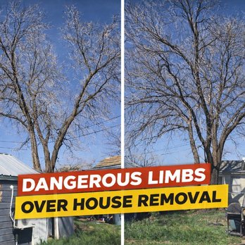 Maness Tree & Brush Service - Tree Services Near Me - Tuscola, Texas Maness Tree & Brush Service - Tree Services Near Me - Tuscola, Texas