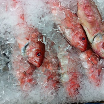 Jackie's Seafood Market - Fresh Red Snapper - Seafood Near Me - Savannah, Georgia Jackie's Seafood Market - Fresh Red Snapper - Seafood Near Me - Savannah, Georgia