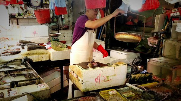Fa Yuen Street Market by null