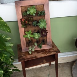Pink Tulip - Succulent frame