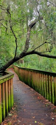 Sea Pines Forest Preserve by null