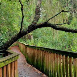 Sea Pines Forest Preserve